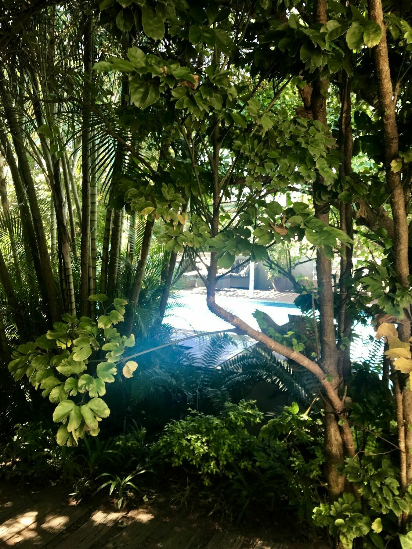 Beach Forest Lodge Ballito Buitenkant foto
